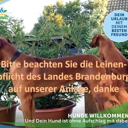 Wellness-Suite-Im-Wald-Am-See Kyritz Eksteriør billede