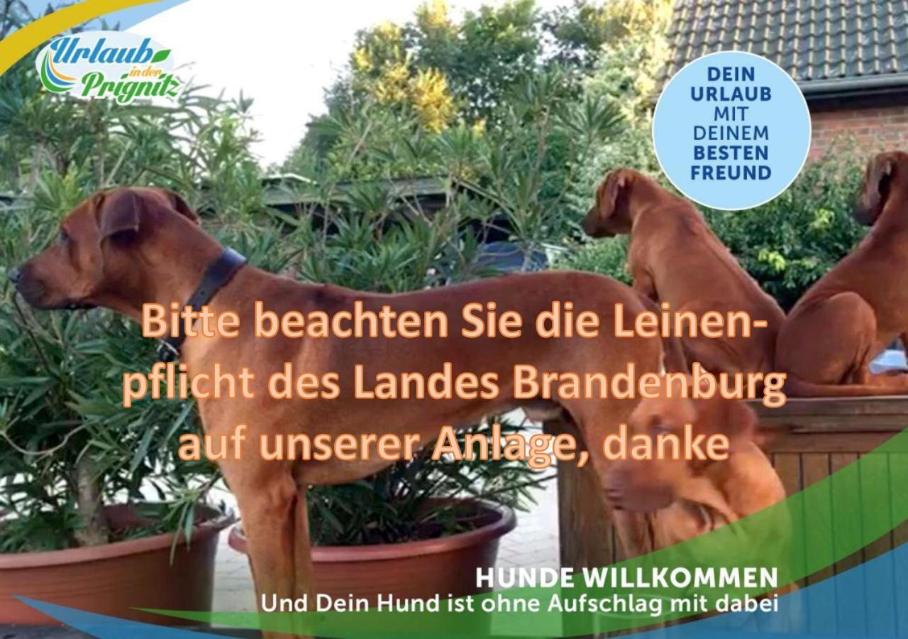 Wellness-Suite-Im-Wald-Am-See Kyritz Eksteriør billede